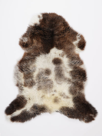 Monivärinen lampaantalja L