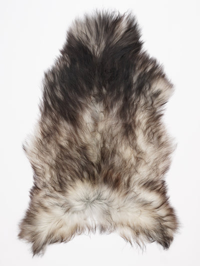 Harmaa islannin lampaantalja XL