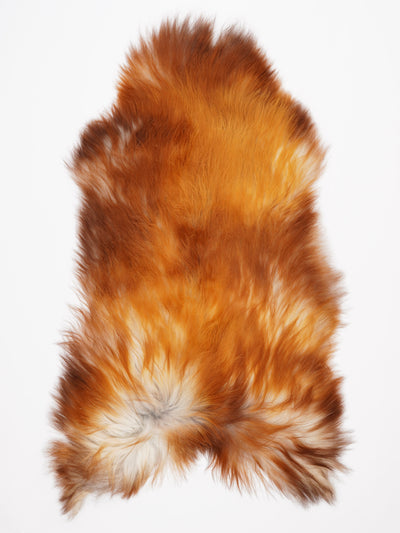 Islannin lampaantalja XXL