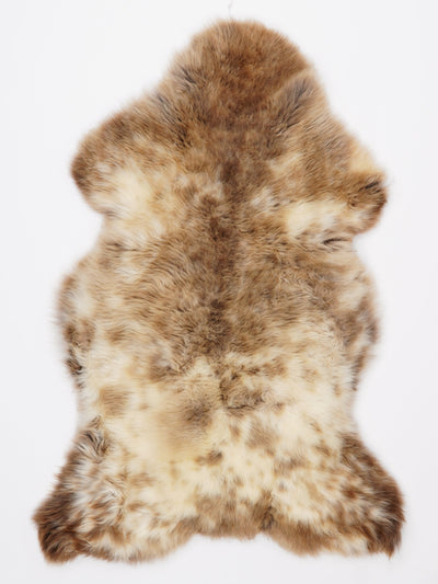 Monivärinen lampaantalja L