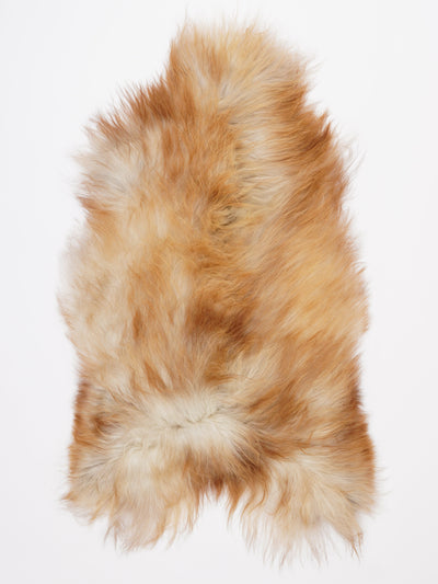 Islannin lampaantalja L