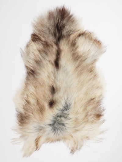 Harmaa islannin lampaantalja XL