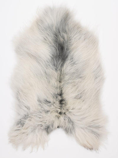 Islannin lampaantalja L