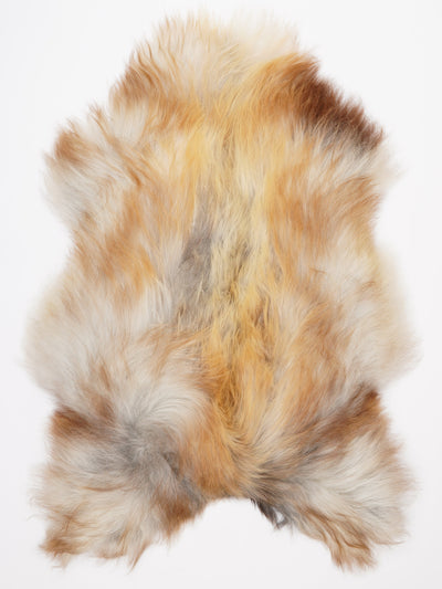 Islannin lampaantalja XXL