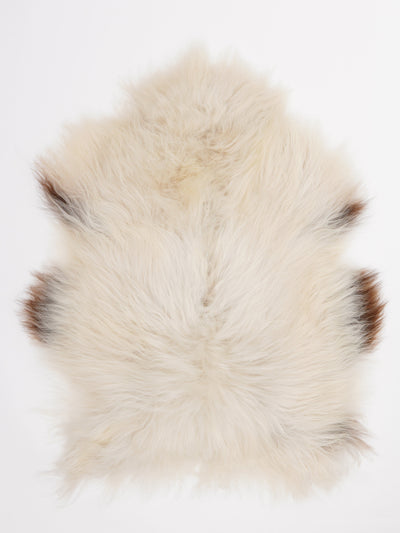 Islannin lampaantalja M