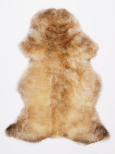 Monivärinen lampaantalja L