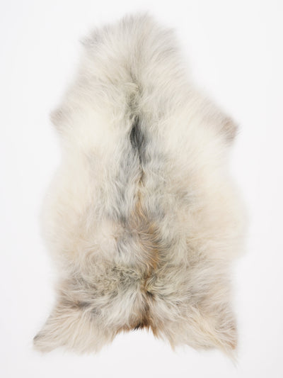 Islannin lampaantalja XL