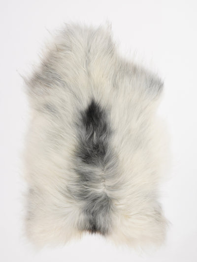 Islannin lampaantalja L