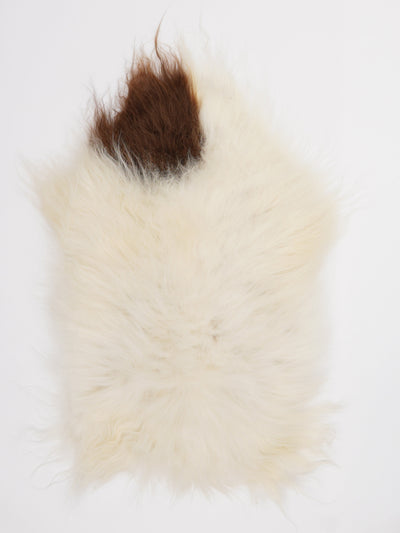 Islannin lampaantalja S