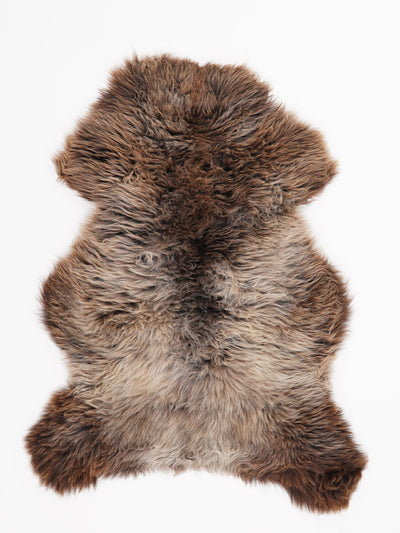 Monivärinen lampaantalja L