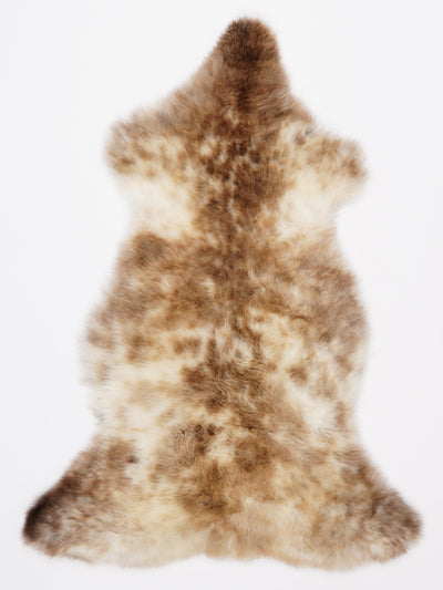 Monivärinen lampaantalja L