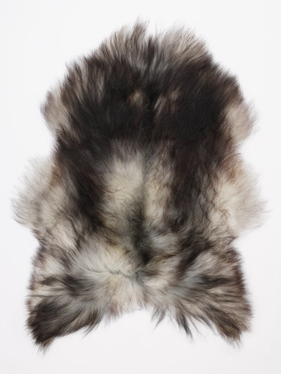 Islannin lampaantalja L