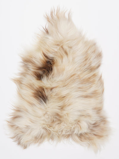 Islannin lampaantalja S