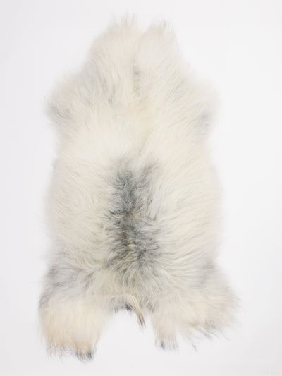 Islannin lampaantalja XL