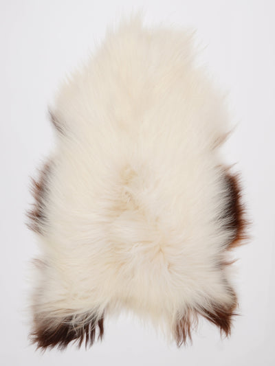 C-luokan Islannin lampaantalja L