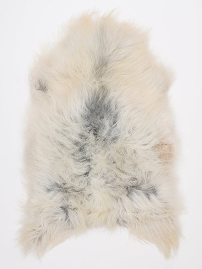 Islannin lampaantalja L