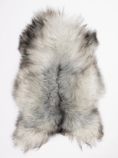 Harmaa islannin lampaantalja XL