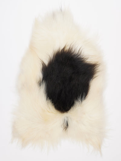 Islannin lampaantalja L