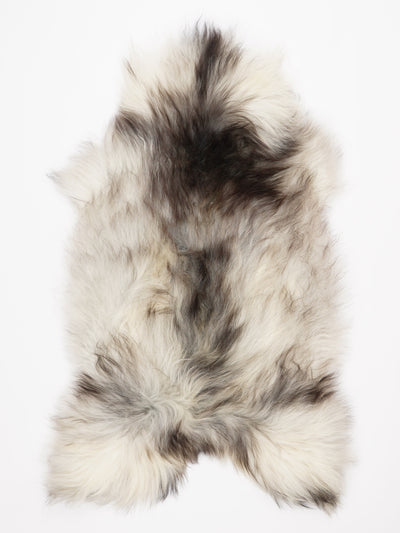 Islannin lampaantalja XXL