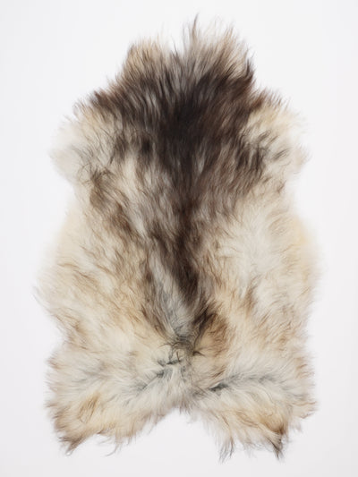 Islannin lampaantalja XL