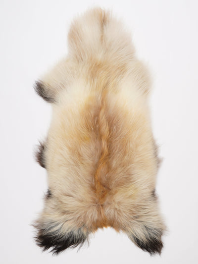 Islannin lampaantalja XL