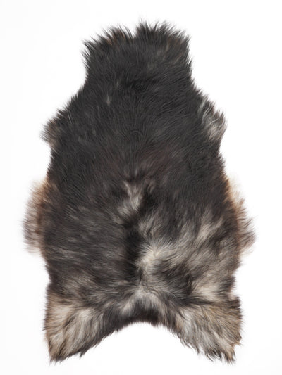 Harmaa islannin lampaantalja XL