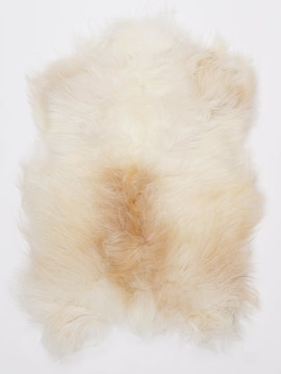 Islannin lampaantalja S