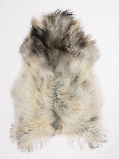 Harmaa islannin lampaantalja XL