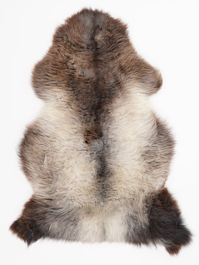 Monivärinen lampaantalja L