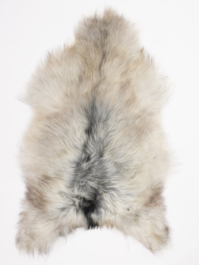 Harmaa islannin lampaantalja XL