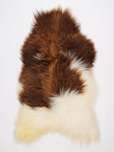 Islannin lampaantalja XXXL