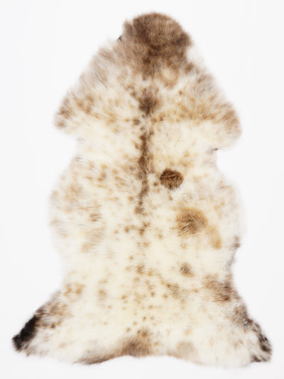 Monivärinen lampaantalja L