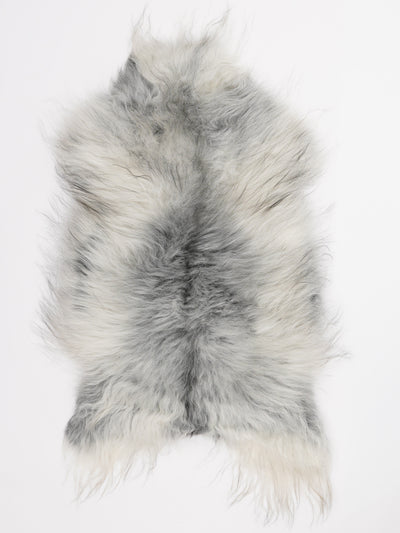 Islannin lampaantalja L