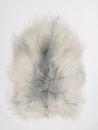 Islannin lampaantalja M