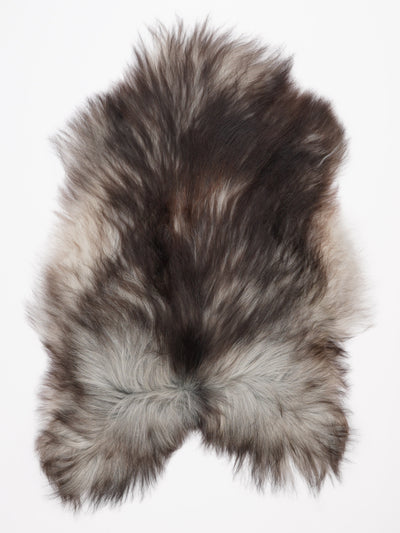 Harmaa islannin lampaantalja XL