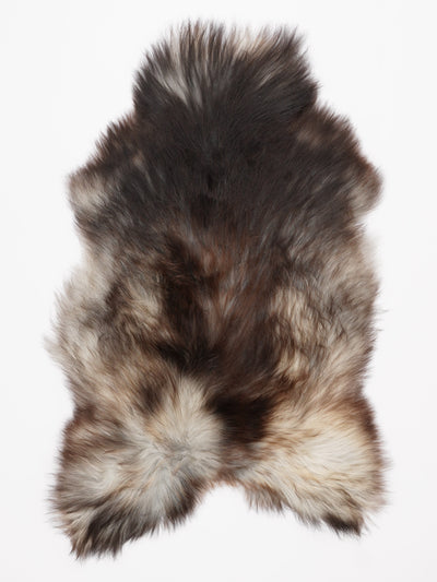 Islannin lampaantalja L