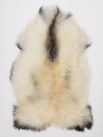 Islannin lampaantalja XL