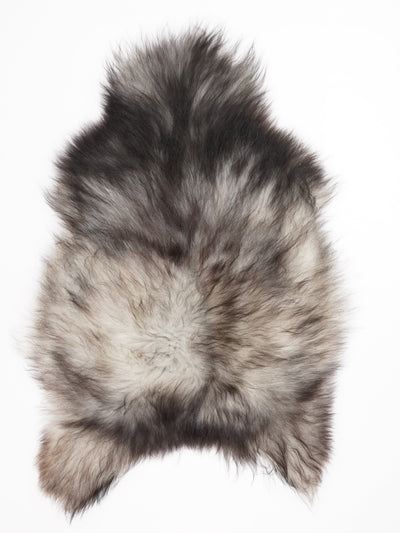 Harmaa islannin lampaantalja XL