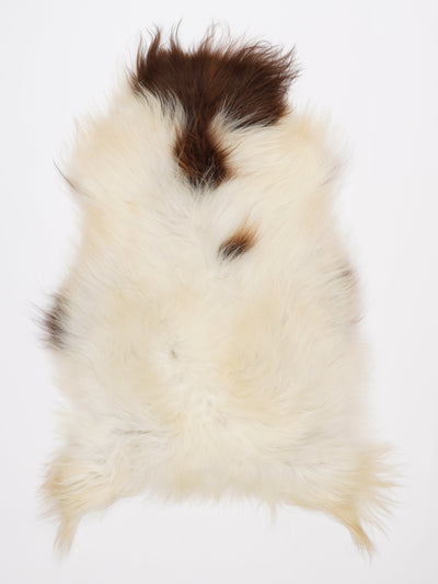 Islannin lampaantalja L