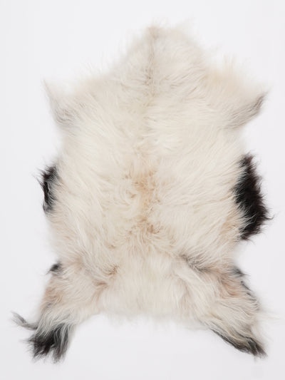 Islannin lampaantalja M