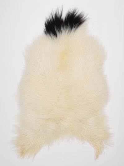 Islannin lampaantalja XL