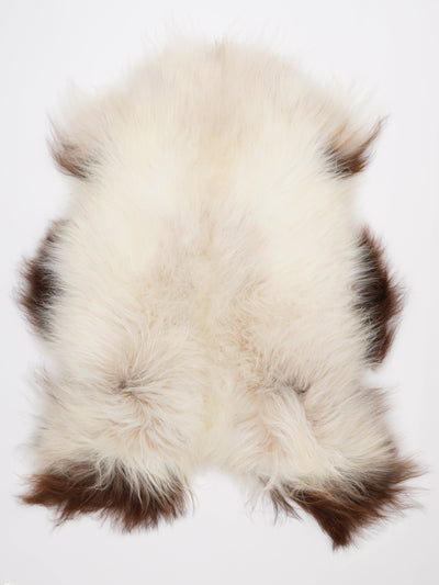 Islannin lampaantalja XL