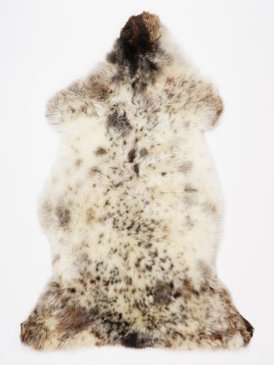 Monivärinen lampaantalja XL