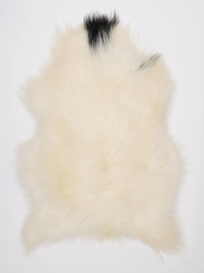 Islannin lampaantalja XL