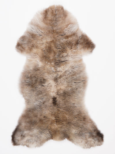 Monivärinen lampaantalja L