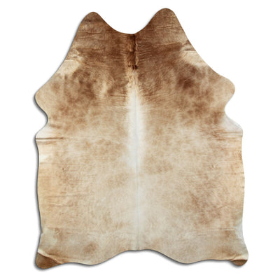 Shamppanja lehmäntalja L