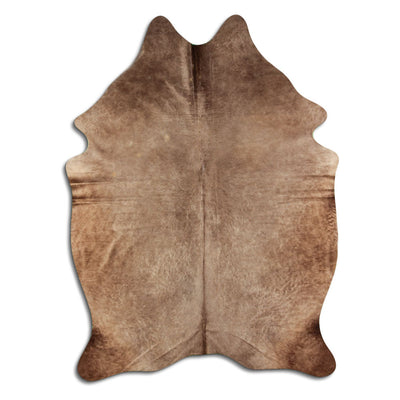 Shamppanja lehmäntalja L