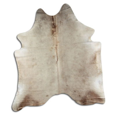 Shamppanja lehmäntalja L