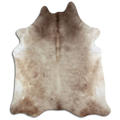 Shamppanja lehmäntalja XXXL