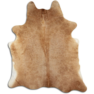 Shamppanja lehmäntalja L